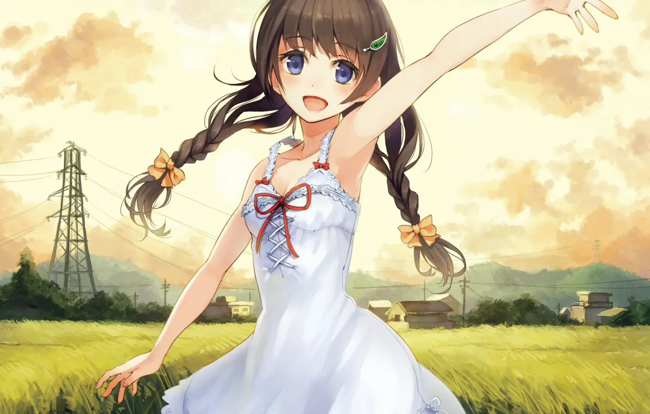 Photo wallpaper the sky, girl, clouds, joy, nature, wire, home, anime