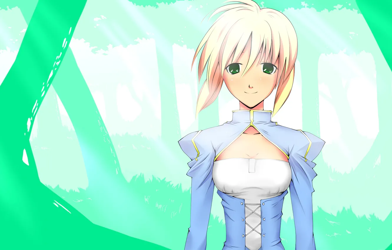 Photo wallpaper girl, the saber, Fate / Stay Night, Fate stay Night