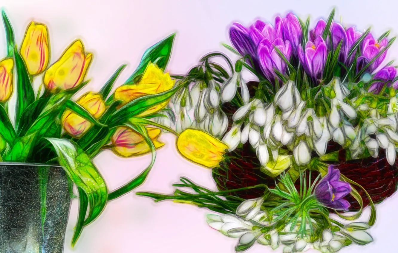 Photo wallpaper Graphics, Tulipany, Flowers, Crocuses