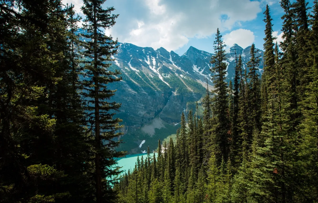 Photo wallpaper forest, mountains, lake