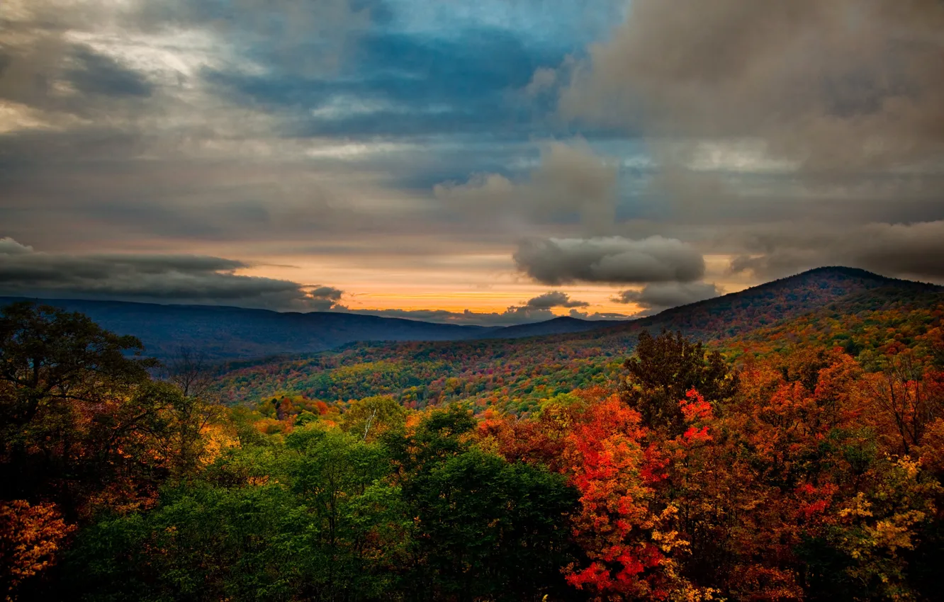 Photo wallpaper autumn, forest, landscape, mountains, nature, photo, USA, Virginia