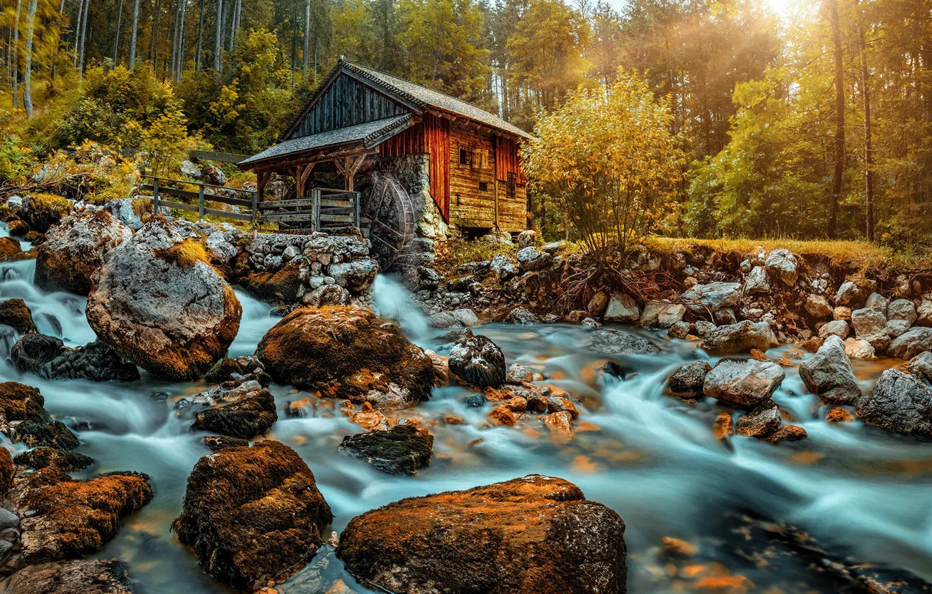 Photo wallpaper forest, stream, stones, slope, mill, pond, water