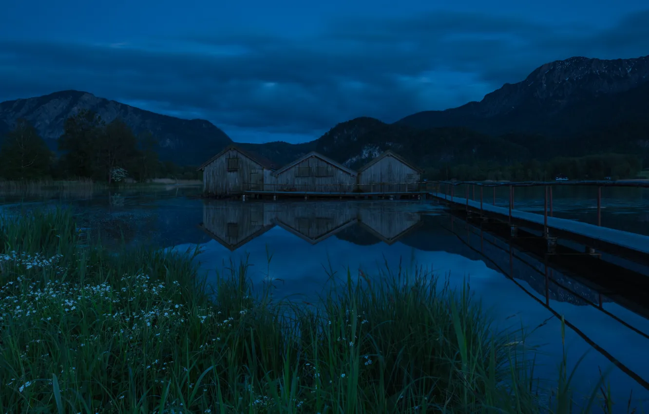Photo wallpaper forest, the sky, grass, clouds, landscape, mountains, night, bridge