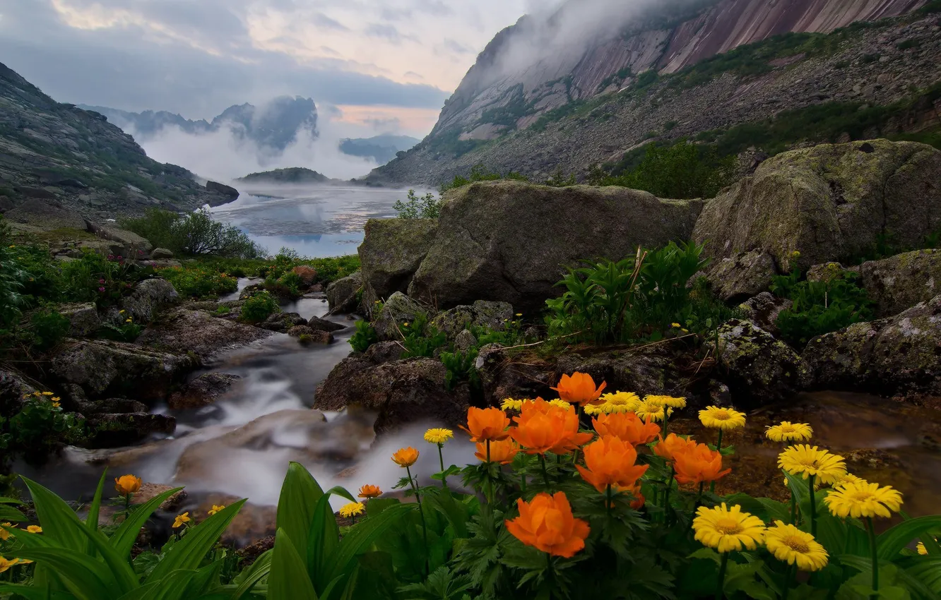 Photo wallpaper the sky, clouds, landscape, flowers, mountains, nature, stream, rocks