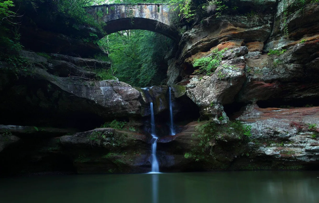 Photo wallpaper waterfall, Nature, Bridge, Forest