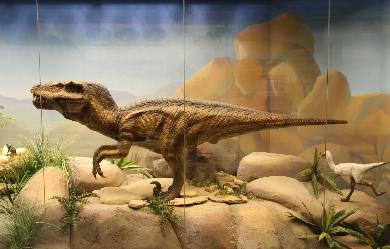 Photo wallpaper animal, dinosaur, predator, Moscow, side, Ancient animals, Extinct animals, Prehistoric