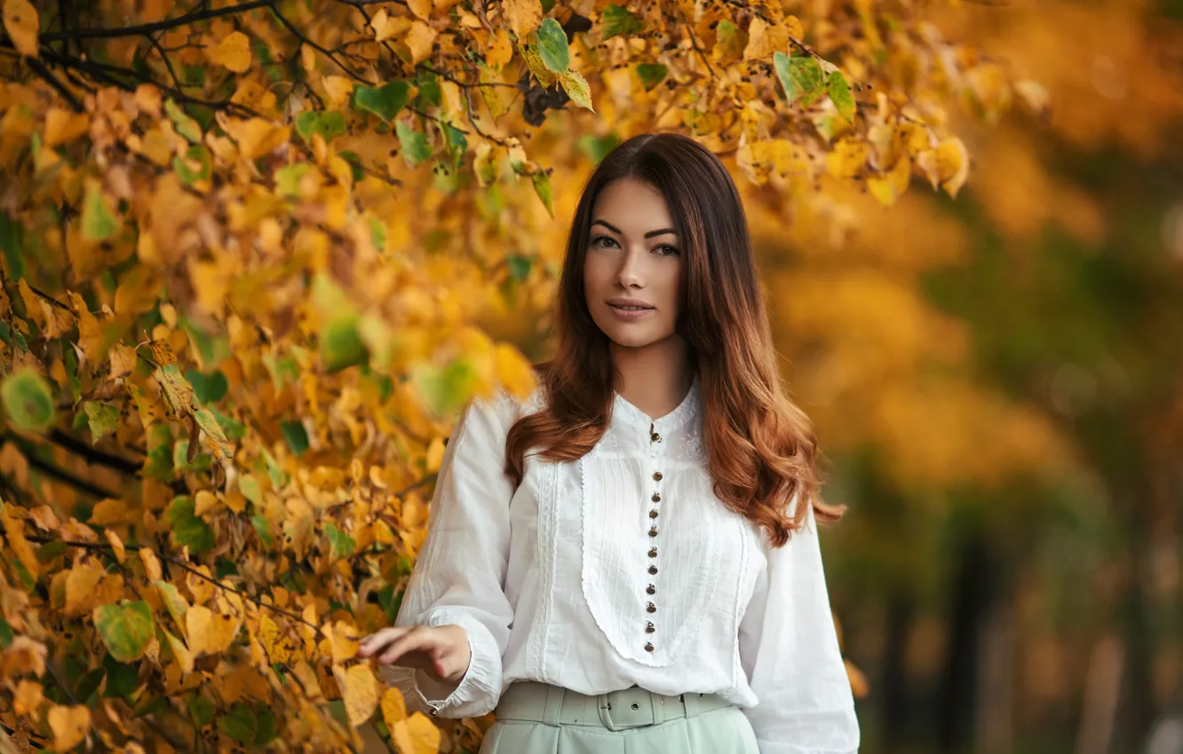 Photo wallpaper autumn, look, leaves, girl, face, smile, Park, sweetheart