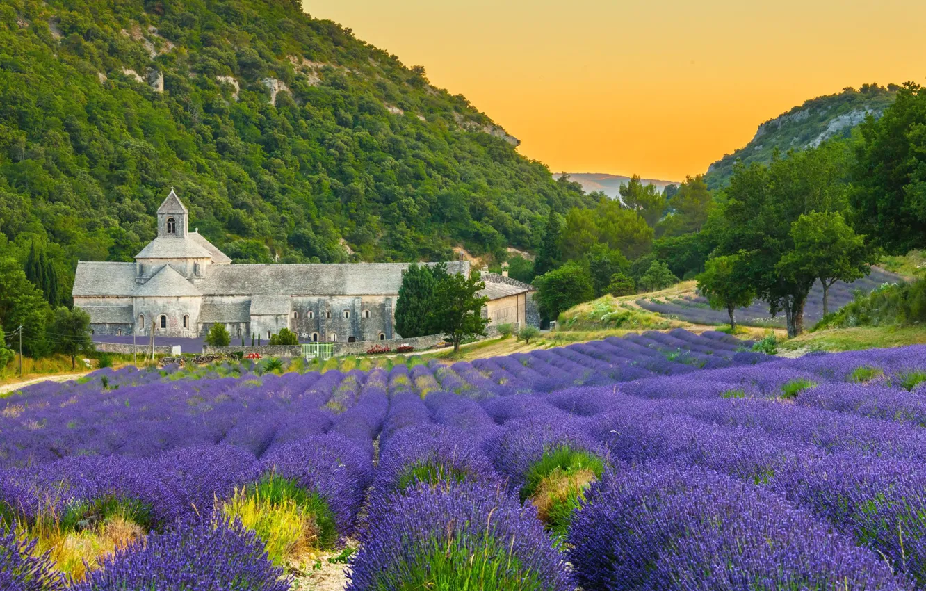 Photo wallpaper mountains, France, lavender, Provence, Abbey, At sénanque