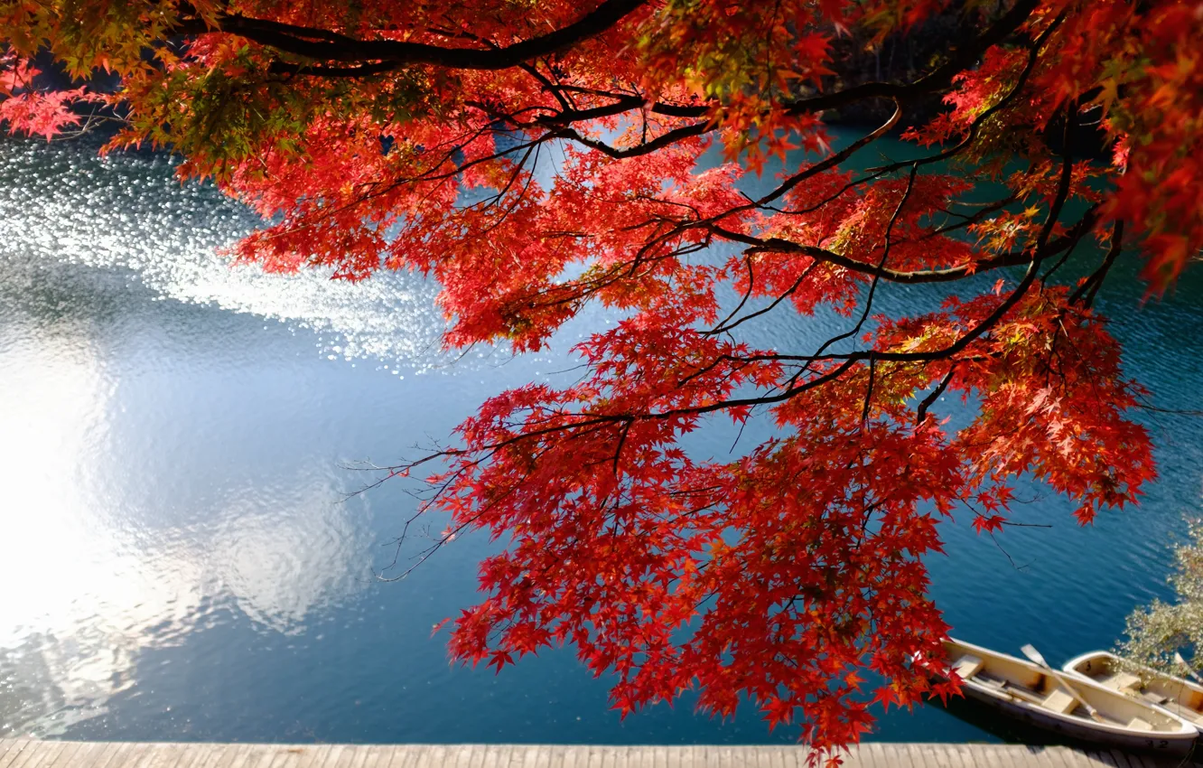 Photo wallpaper autumn, branches, lake, Marina, boats, Japan, Japan, maple