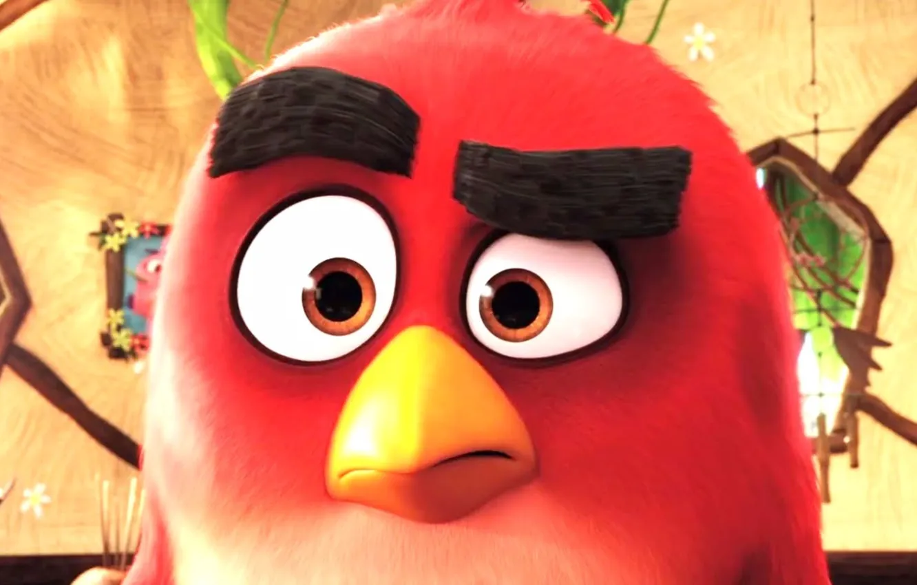 Photo wallpaper cinema, red, game, feathers, island, birds, cartoon, Family