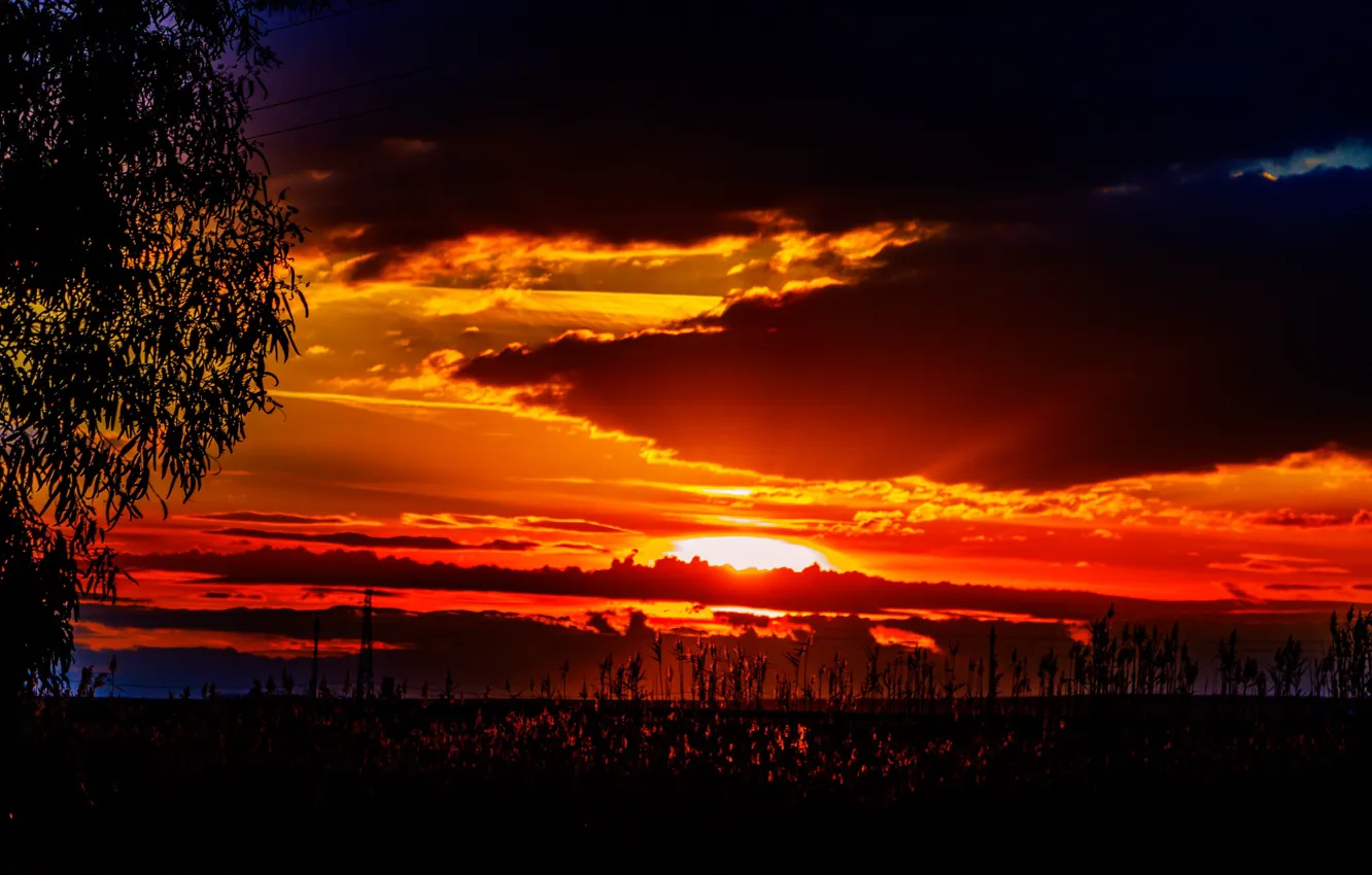 Photo wallpaper clouds, trees, glow, silhouette, Italy, night, Apulia