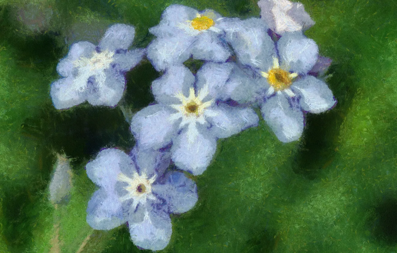 Photo wallpaper flower, gentle, blue, Bud