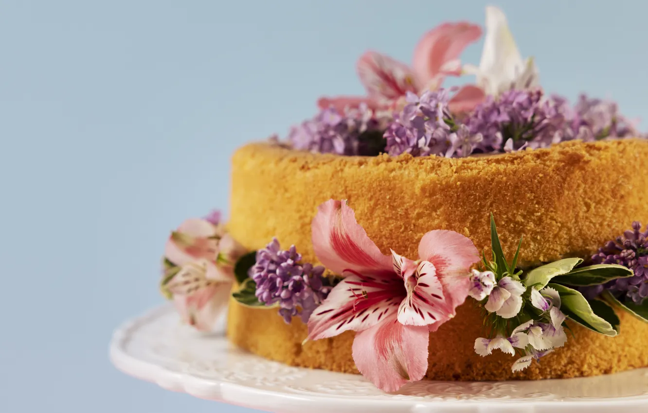 Photo wallpaper flowers, close-up, cake, bokeh, design