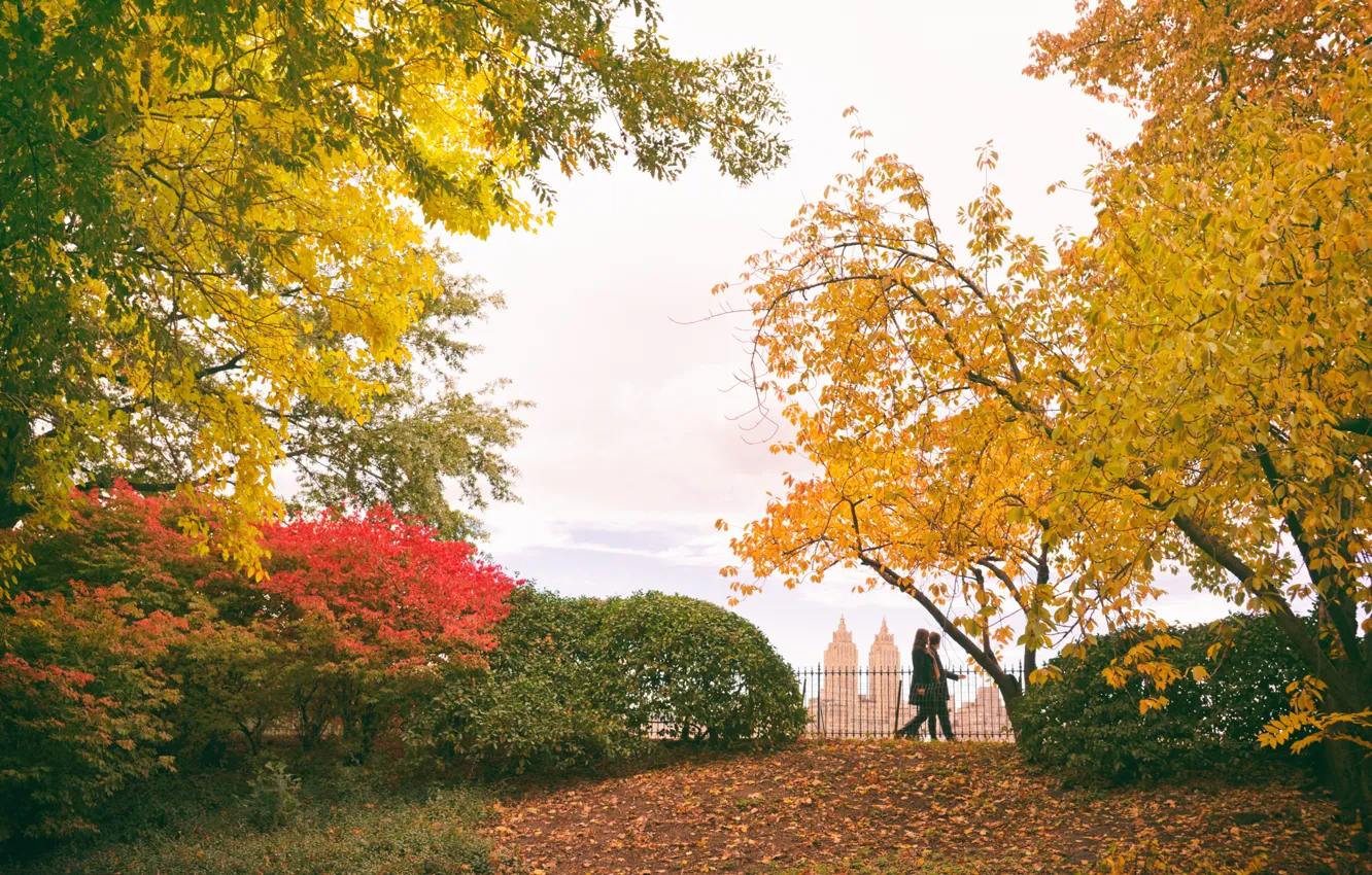 Photo wallpaper USA, trees, New York, Manhattan, NYC, New York City, autumn, leaves