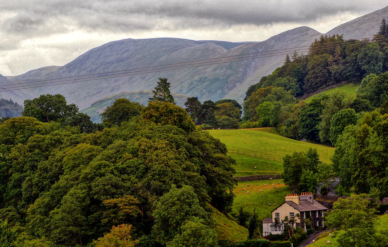 Photo wallpaper field, trees, mountains, England, home