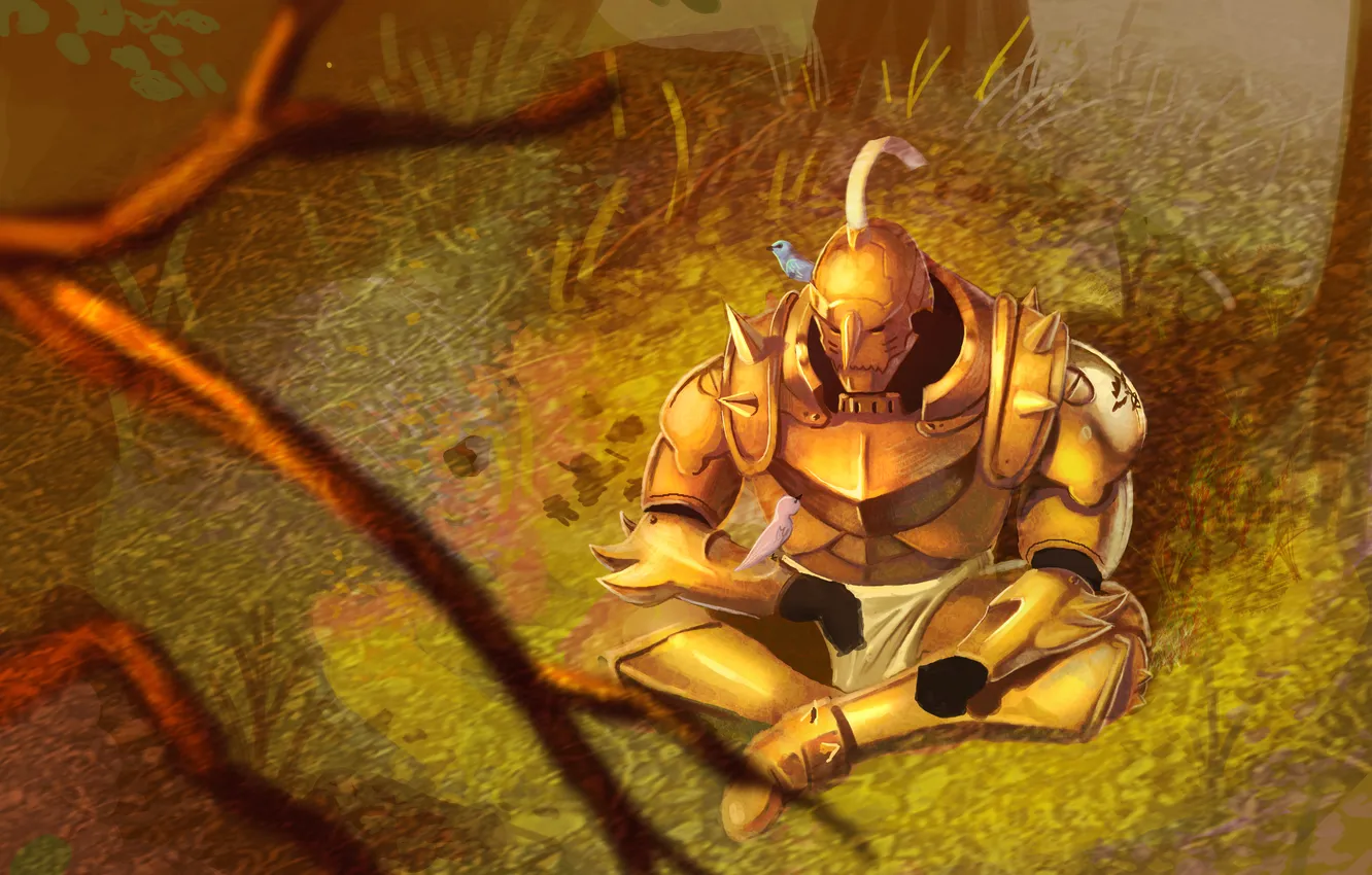 Photo wallpaper nature, bird, armor, guy, sitting, art, Fullmetal Alchemist, Fullmetal Alchemist