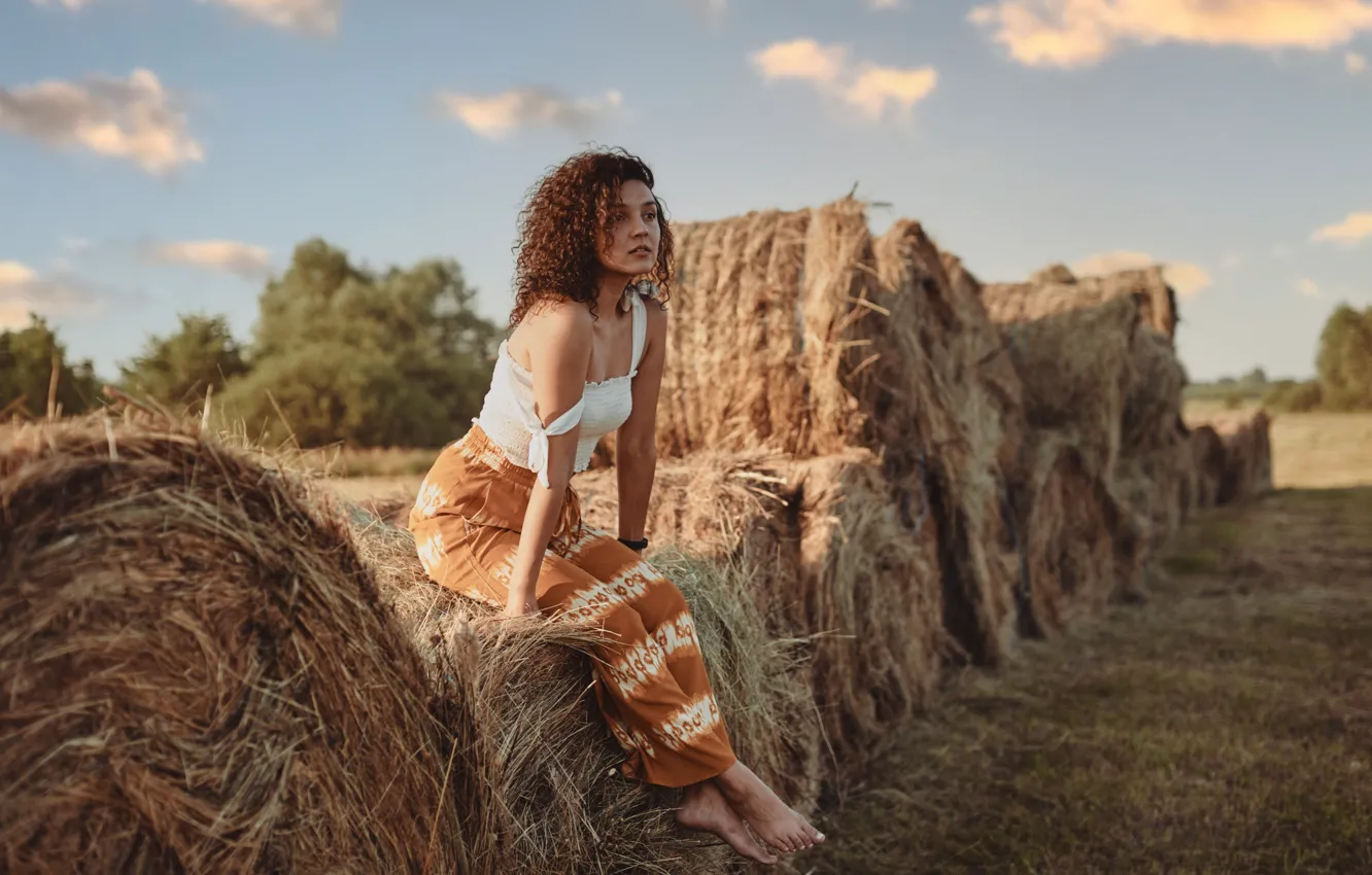 Photo wallpaper field, girl, pose, hay, brown hair, top, curls, shoulder