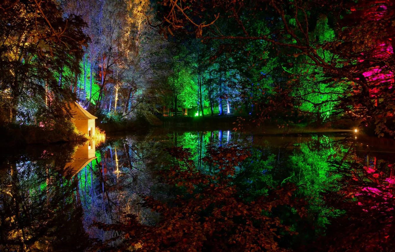 Photo wallpaper trees, night, lights, pond, Park, house