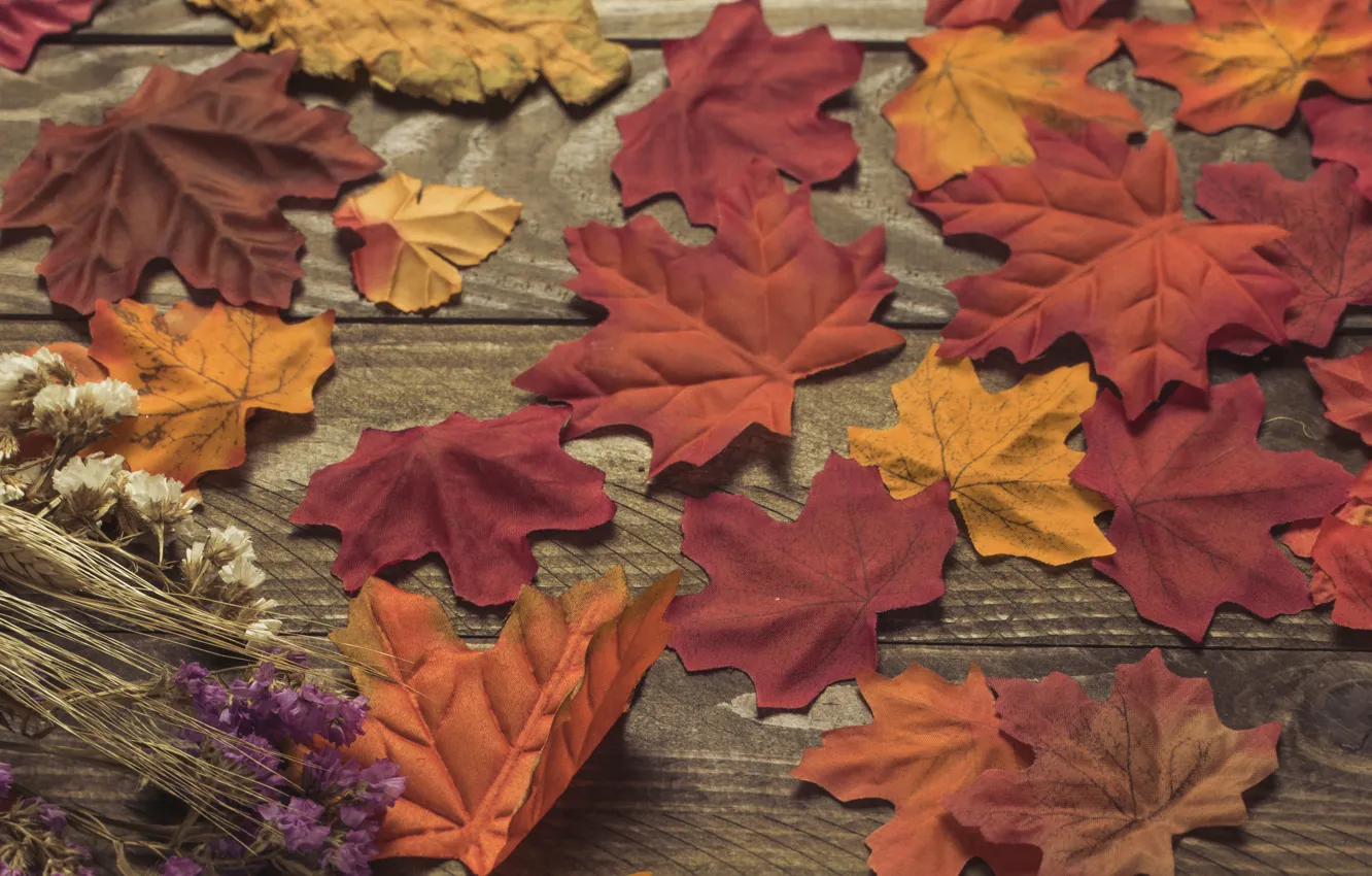 Photo wallpaper autumn, leaves, trees, background, Board, colorful, wood, background