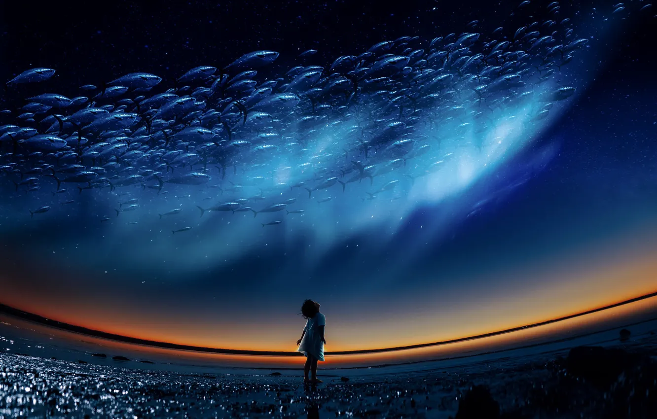 Photo wallpaper sea, the sky, light, fish, night, children, pose, blue