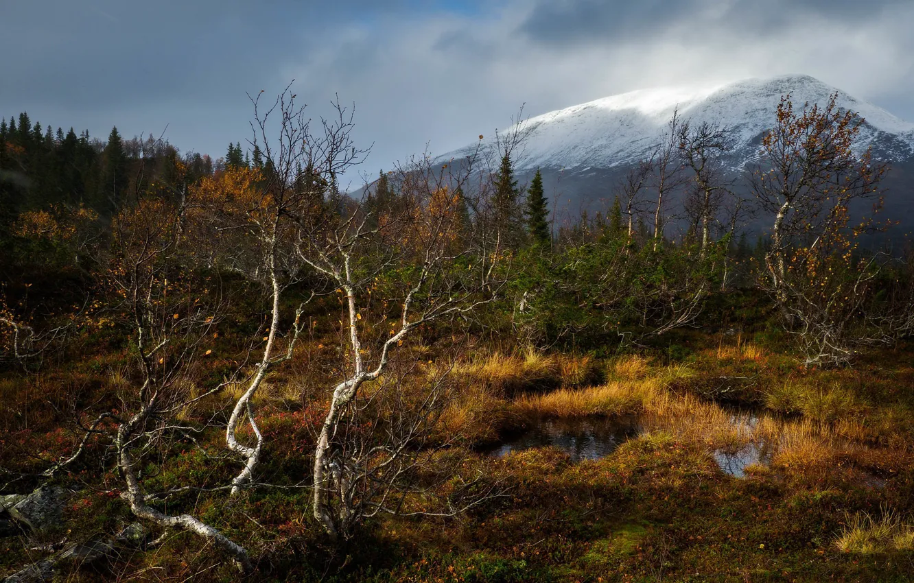 Photo wallpaper mountain, Sweden, Sweden, Västerbotten