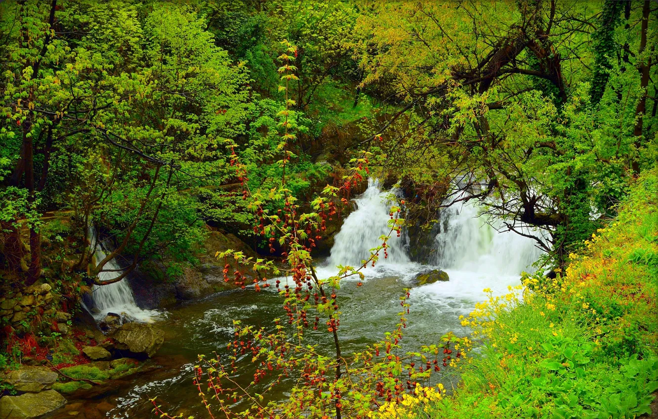 Photo wallpaper Nature, Spring, Waterfall, Nature, Spring, Waterfall