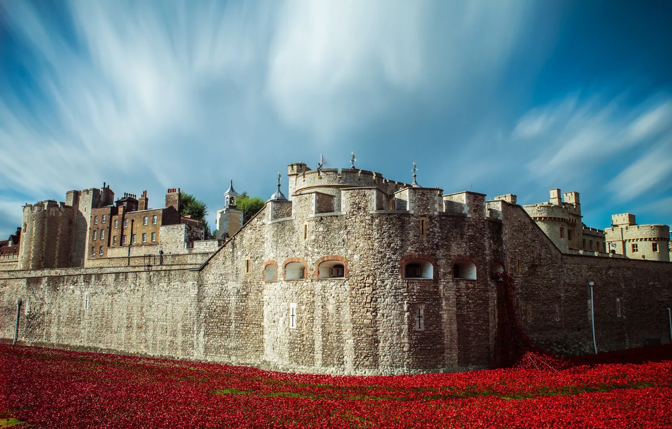 Photo wallpaper field, the sky, clouds, flowers, red, blue, castle, London