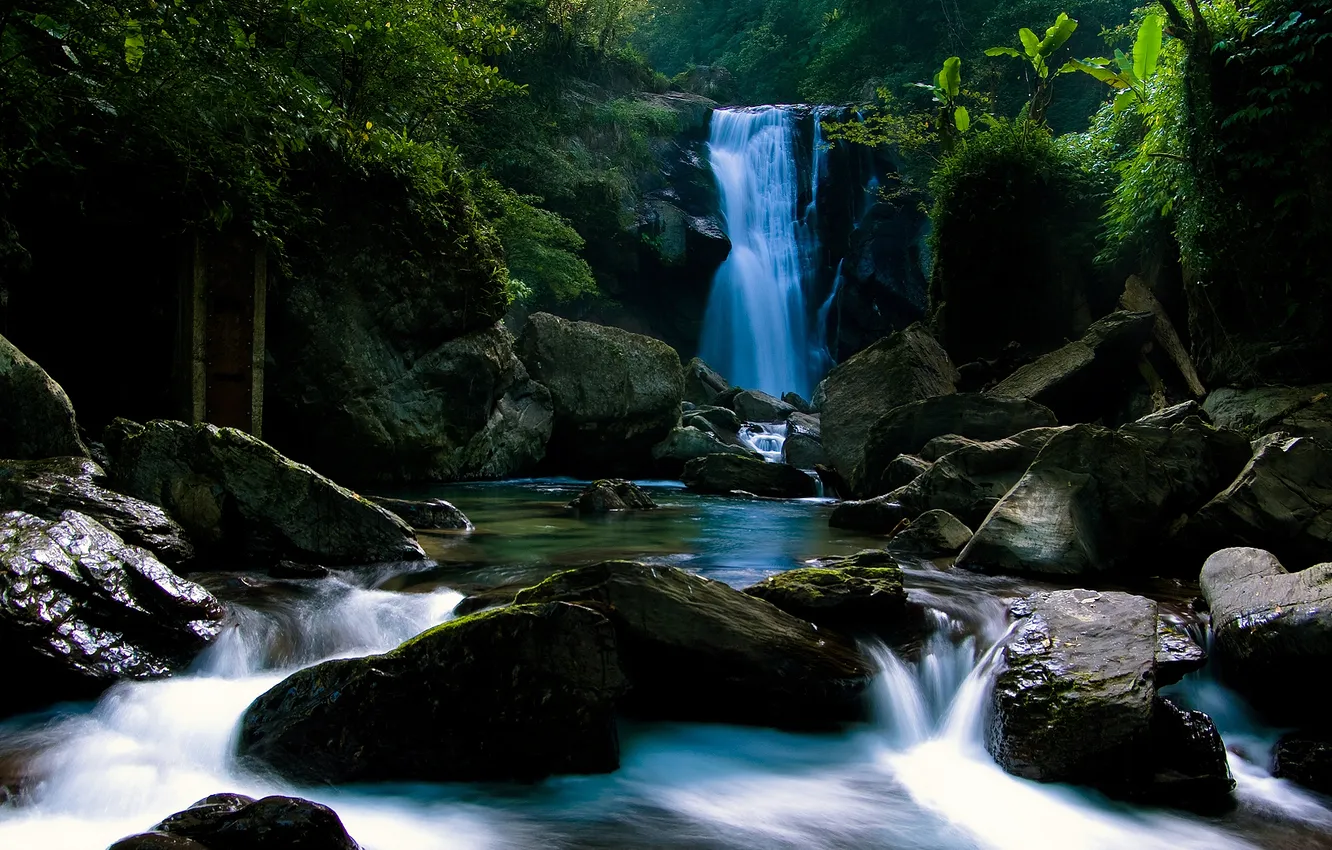 Photo wallpaper forest, river, stones, photo, waterfall, moss