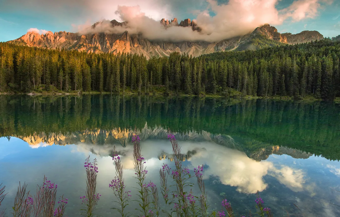 Photo wallpaper forest, flower, mountain, lake, spring