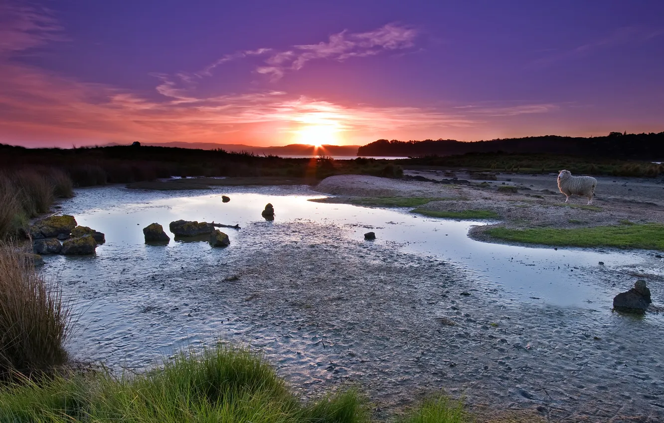 Photo wallpaper sand, summer, the sky, grass, the sun, rays, sunset, river