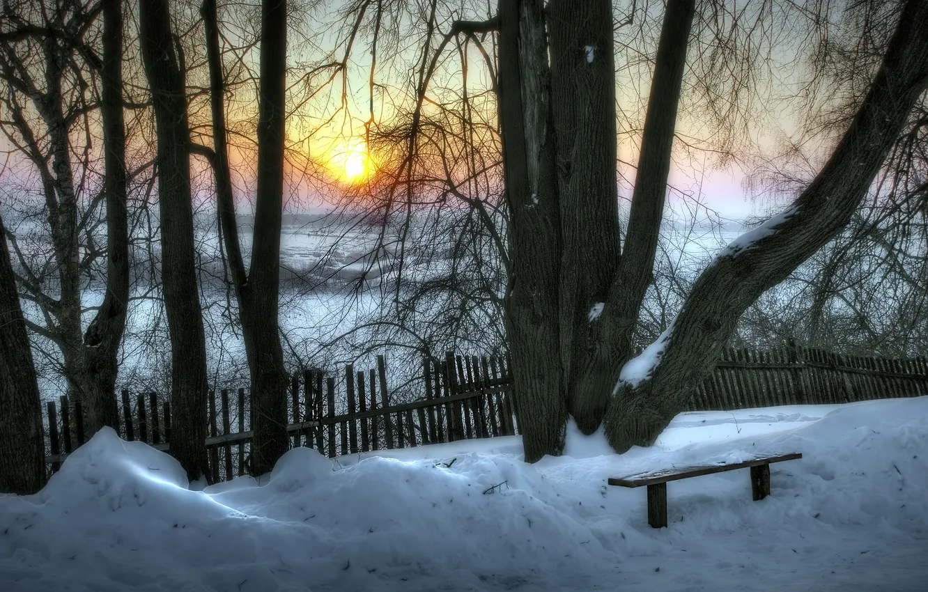 Photo wallpaper winter, trees, sunset, bench