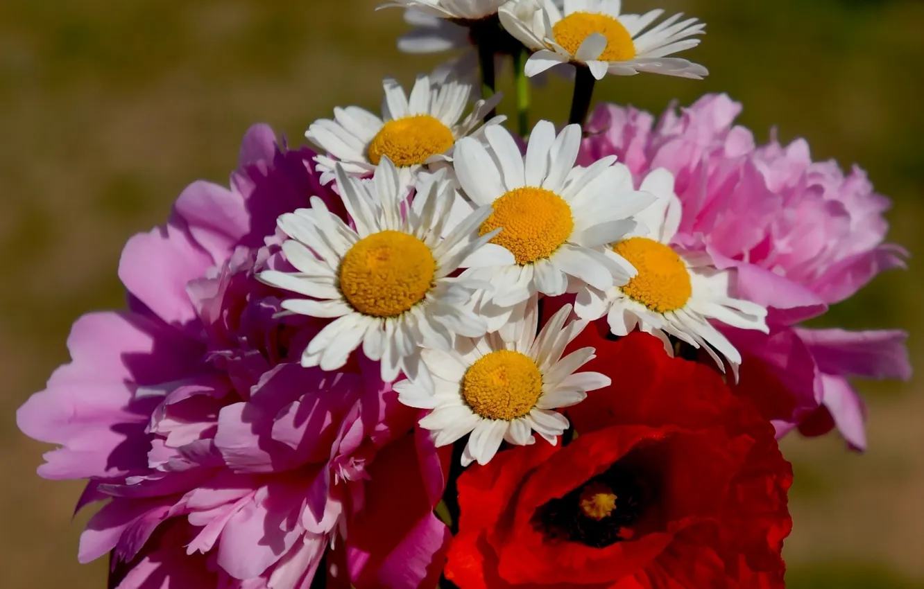 Photo wallpaper flower, bouquet, blooming