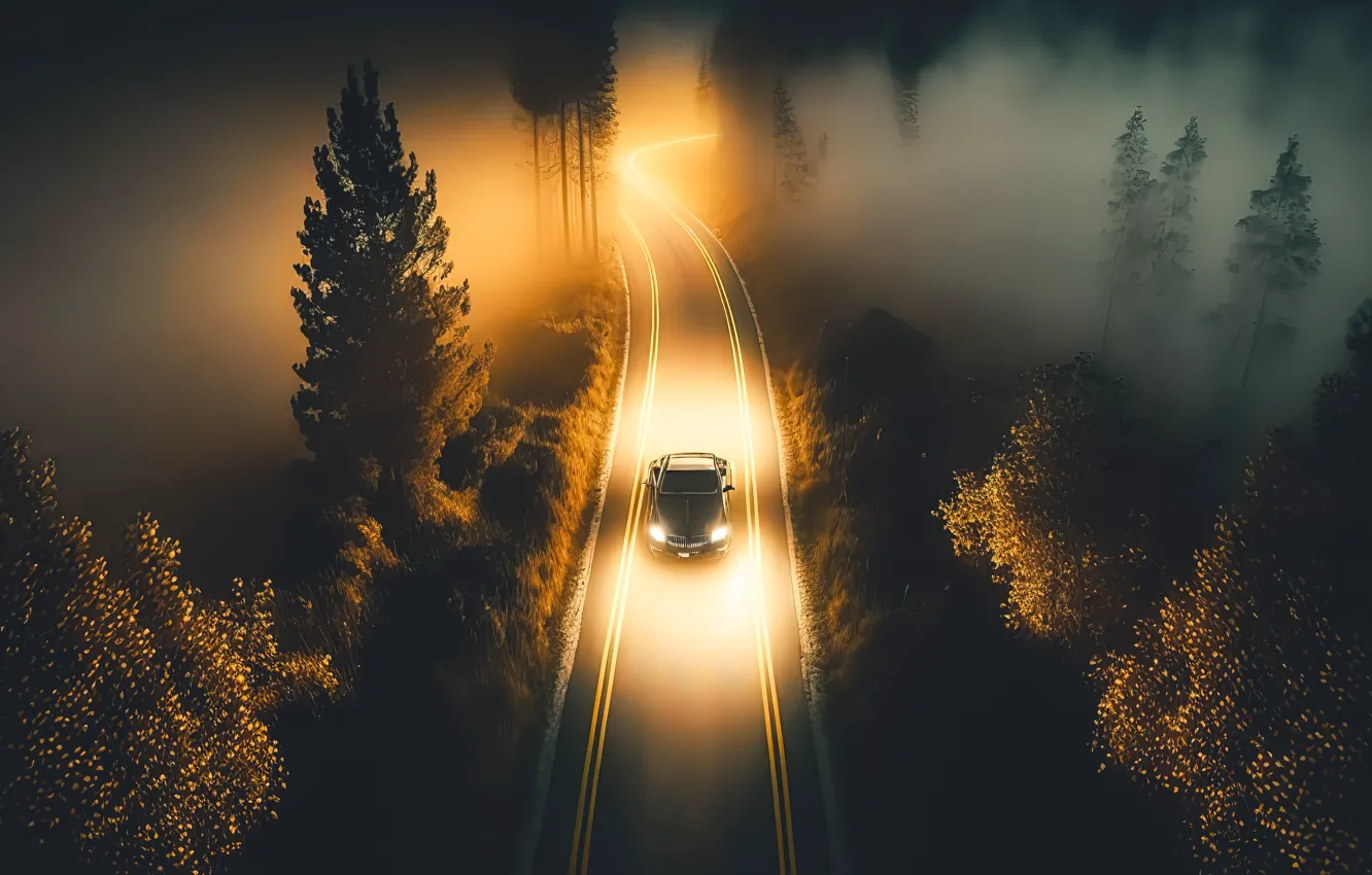 Photo wallpaper road, car, machine, autumn, forest, landscape, night, colorful