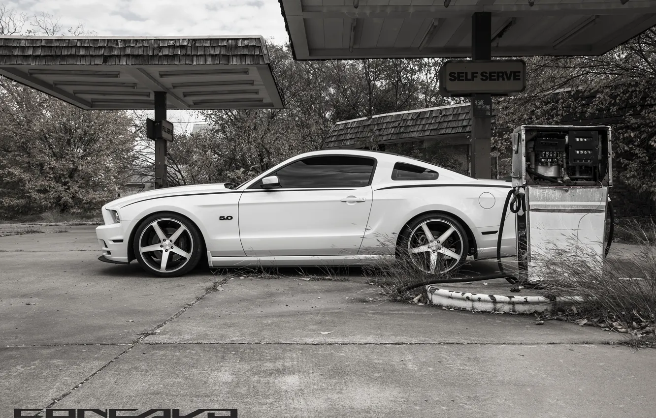 Photo wallpaper machine, auto, Mustang, Ford, dressing, auto, Black, side