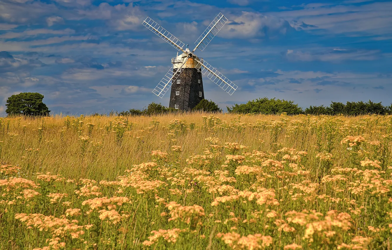 Photo wallpaper England, Norfolk, windmill