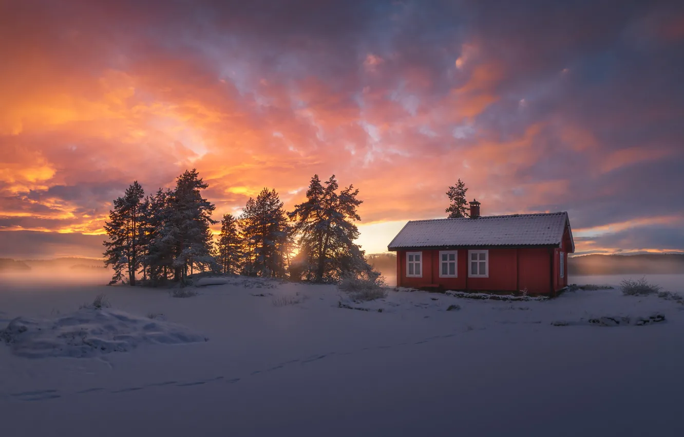 Photo wallpaper winter, snow, Norway, house, Ringerike
