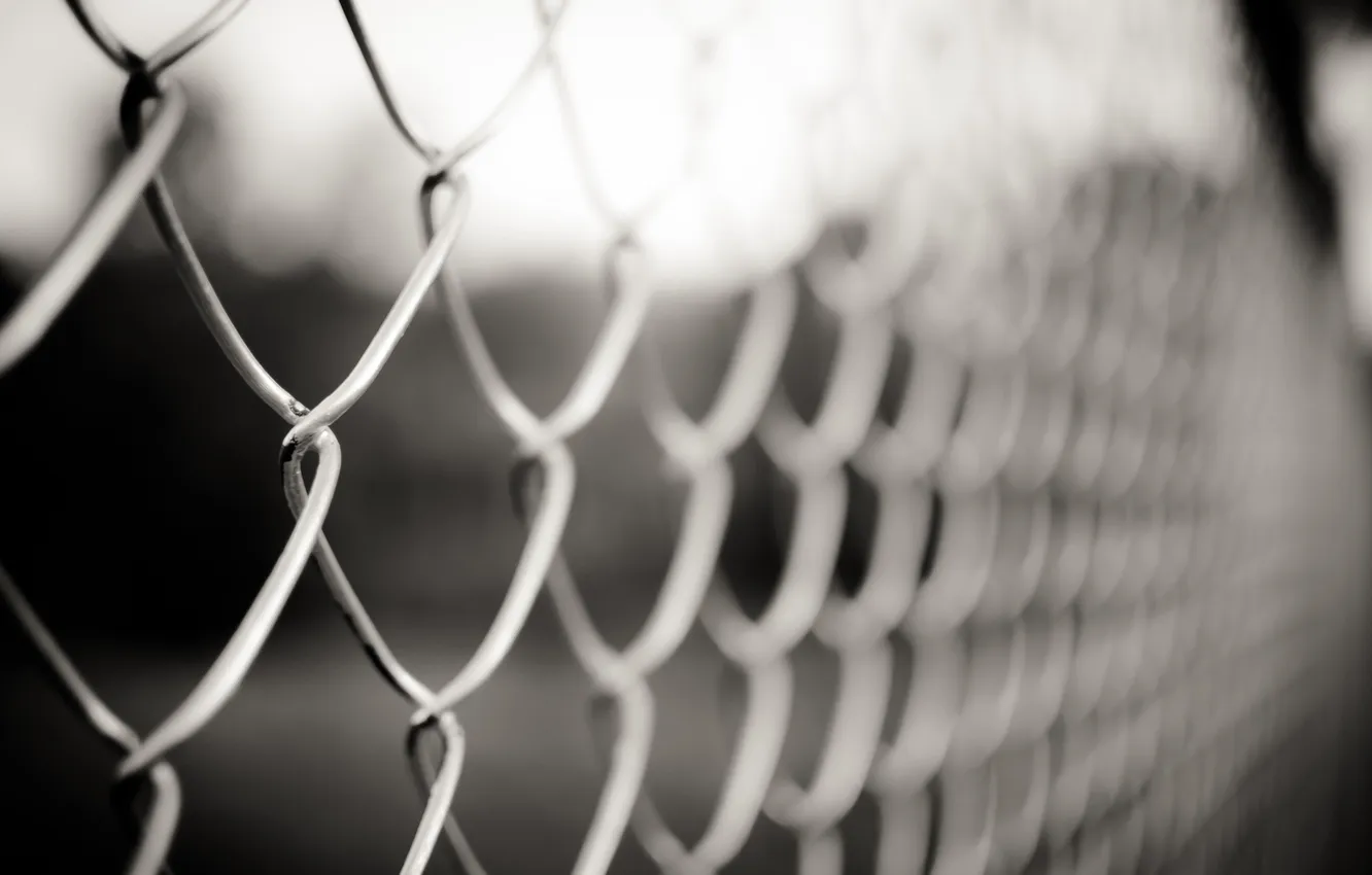 Photo wallpaper photo, mesh, Wallpaper, the fence, the fence, picture, different, h b