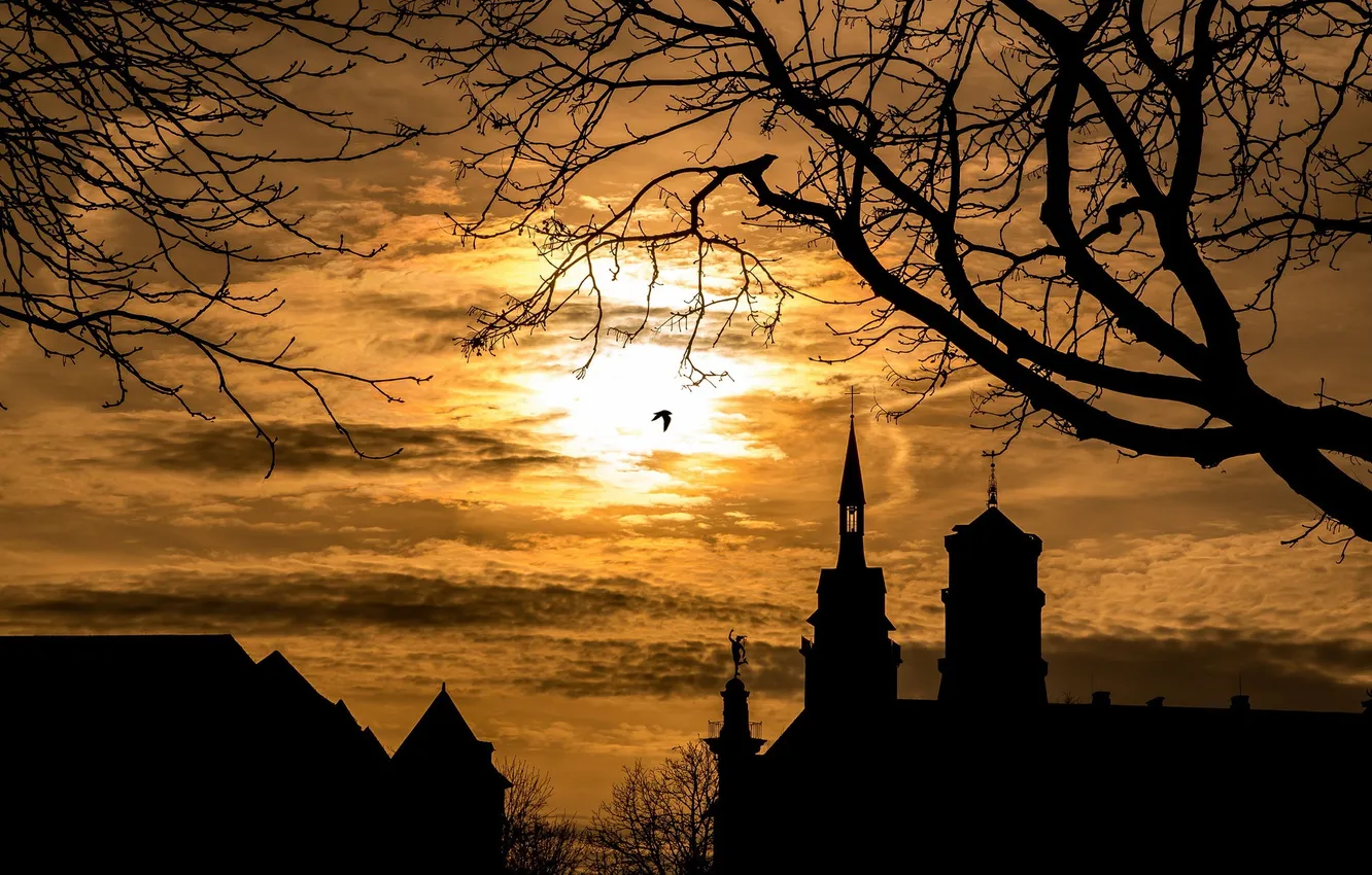 Photo wallpaper landscape, night, the city