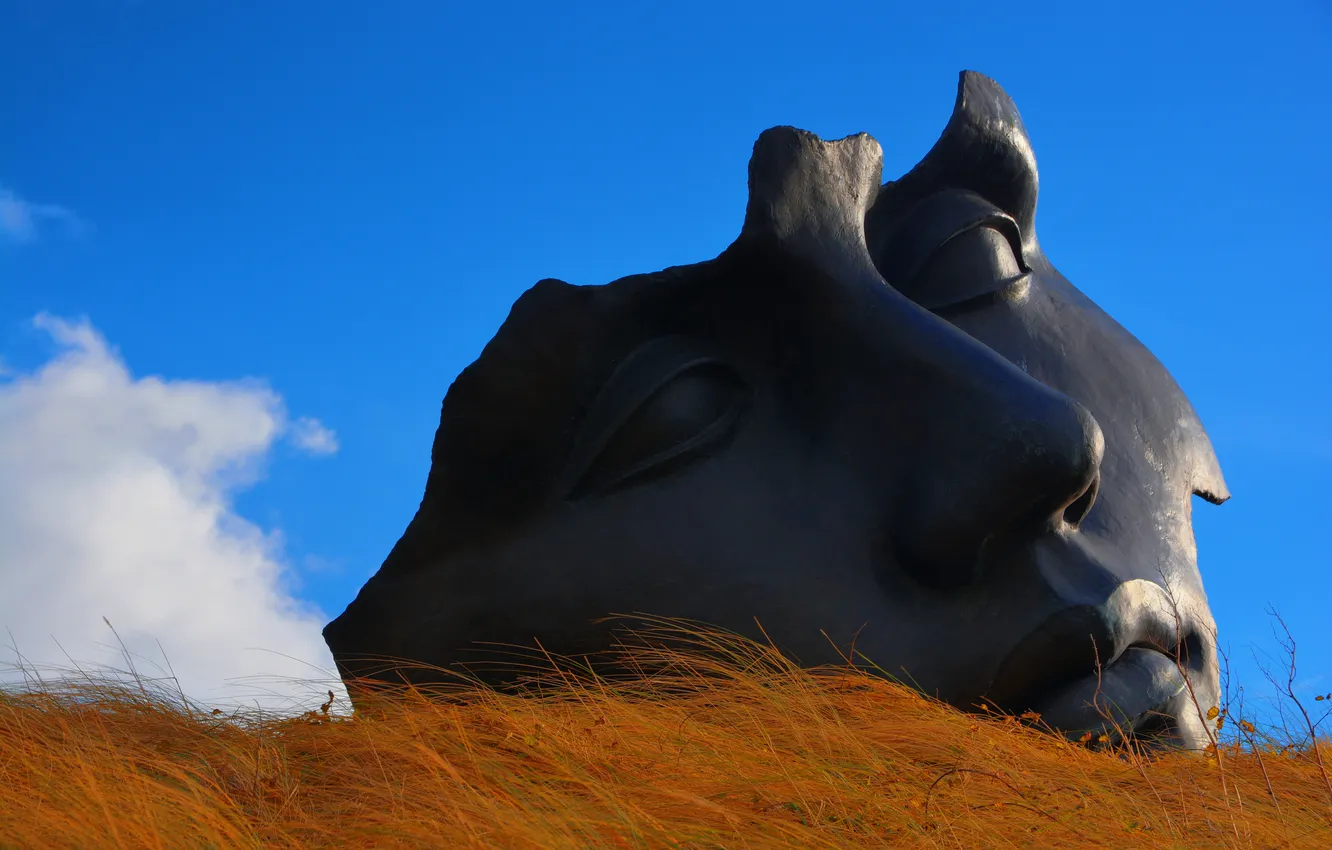 Photo wallpaper face, art, monument, sculpture, architecture