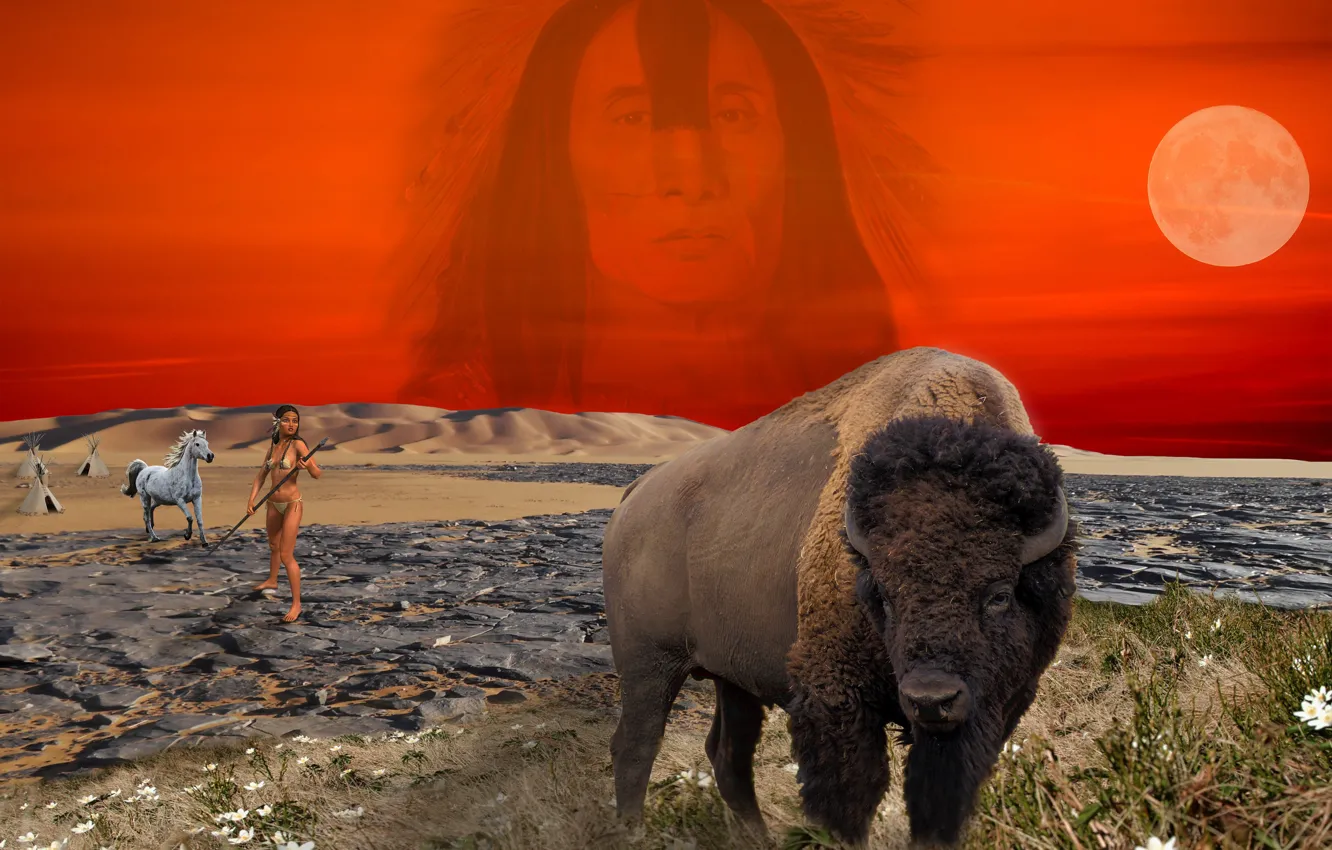 Photo wallpaper photoshop, Prairie, Indian, Buffalo, woman, camp