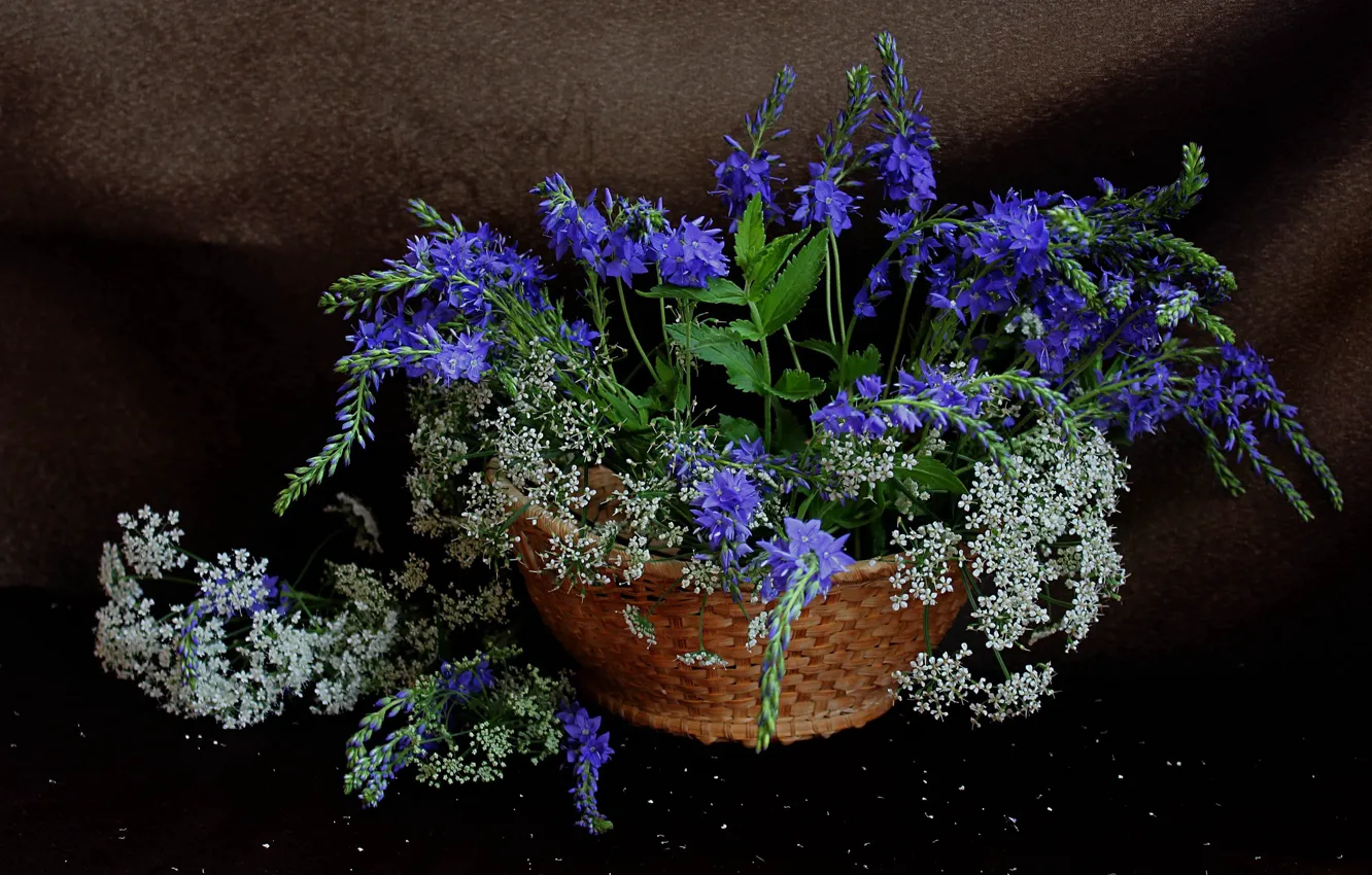 Photo wallpaper summer, bouquet, Veronica, still life, wildflowers, the Aegopodium grass