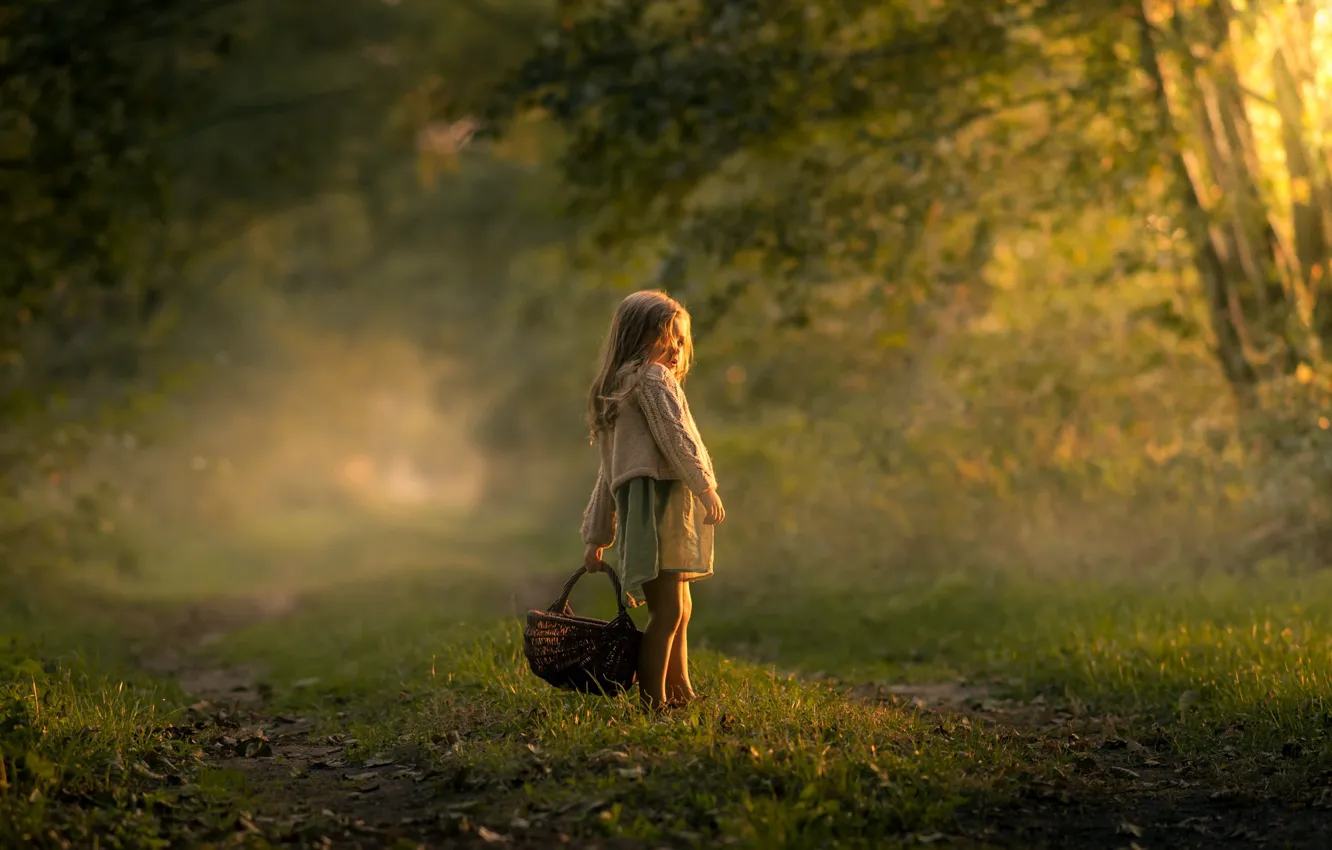 Photo wallpaper forest, basket, girl