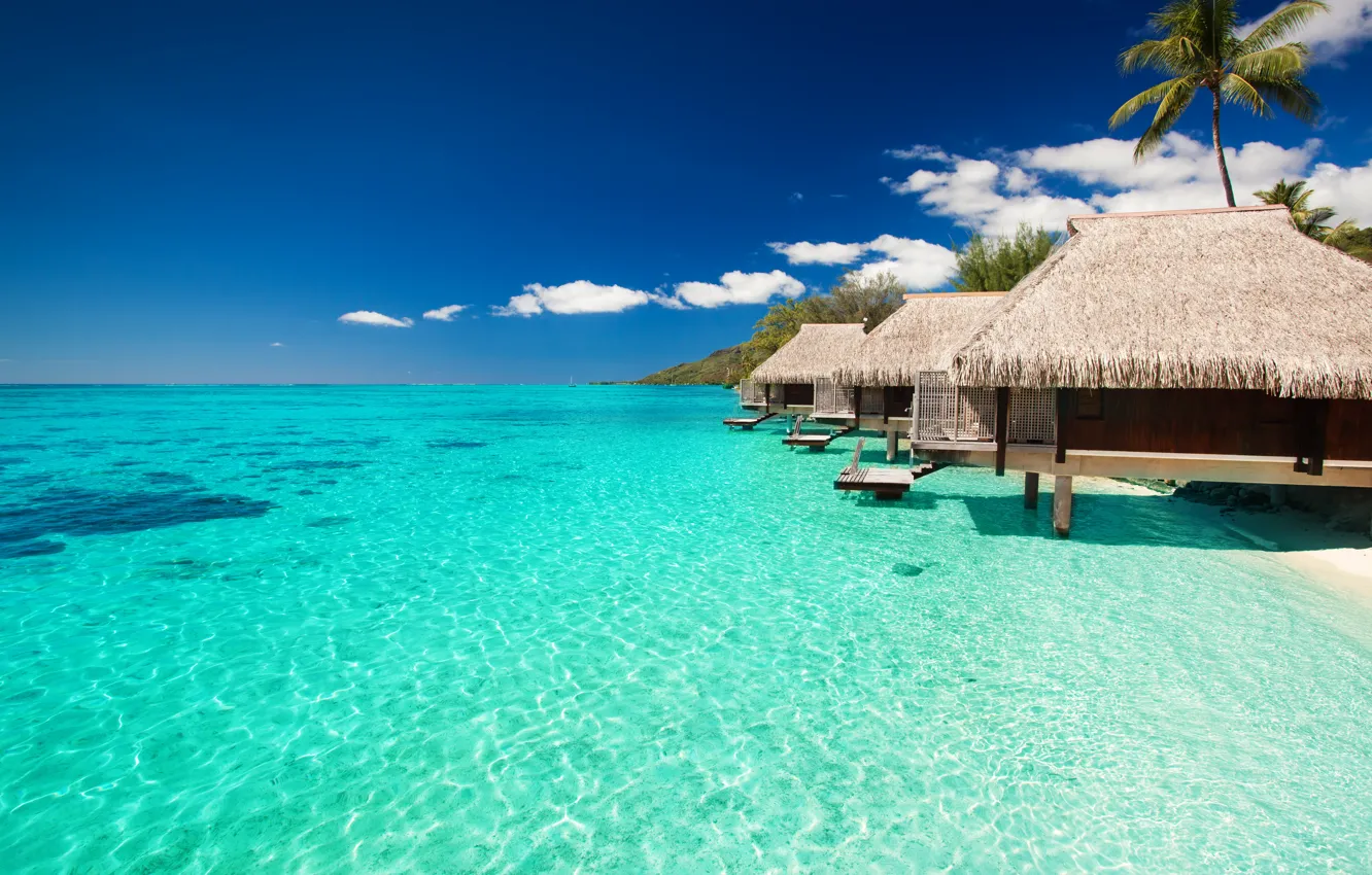Photo wallpaper water, transparency, tropics, the ocean, resort, Laguna, Bungalow
