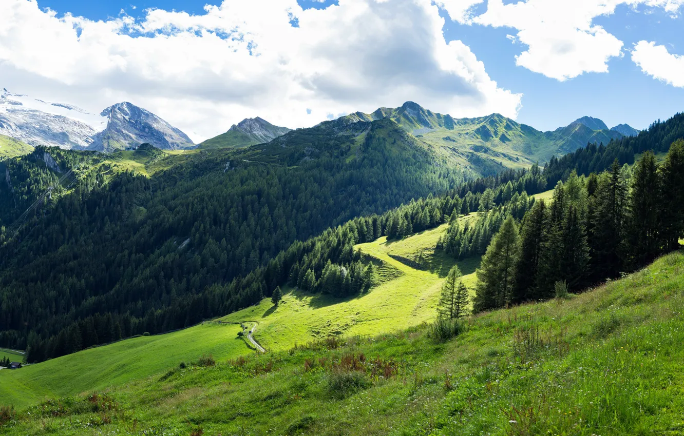 Photo wallpaper greens, forest, the sky, grass, clouds, trees, mountains, Austria