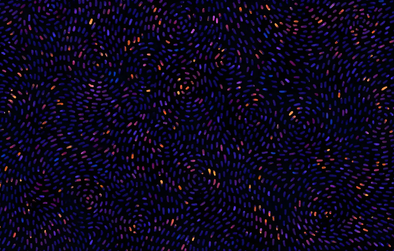 Photo wallpaper stitches, vladstudio, thread