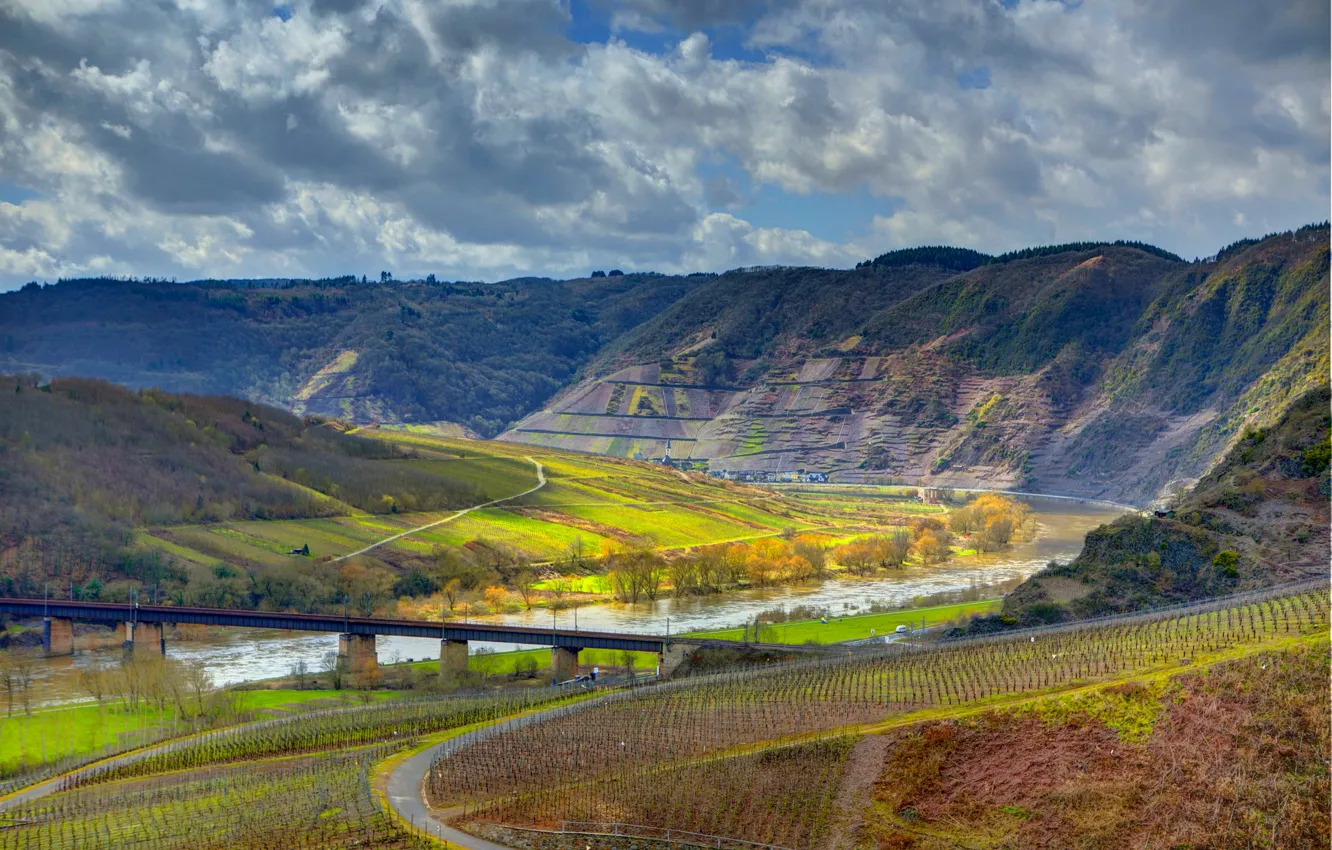 Photo wallpaper field, the sky, clouds, mountains, bridge, river, vineyard, Germany