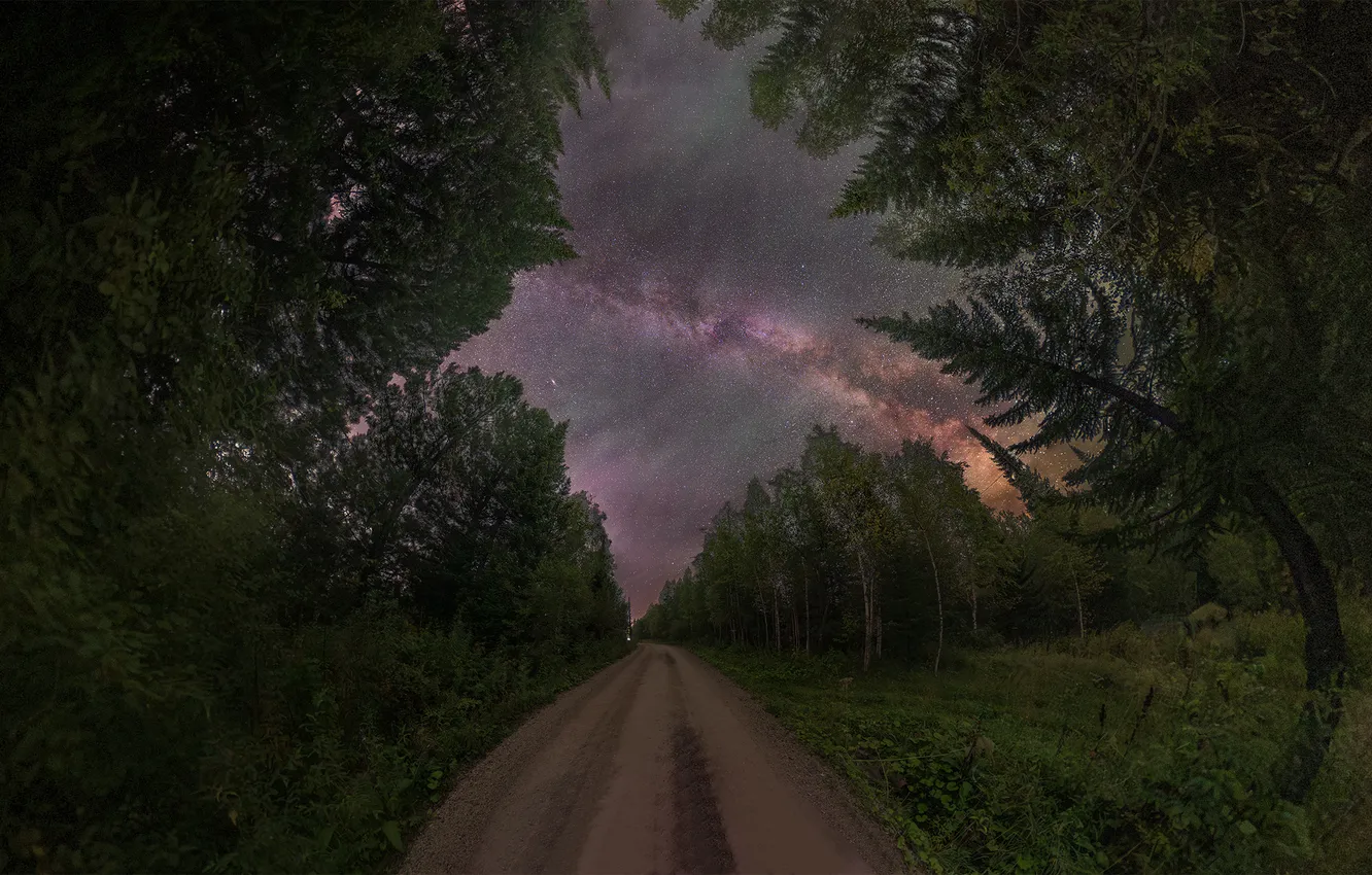 Photo wallpaper road, forest, trees, galaxy, starry sky, Kudashkina Ksenia
