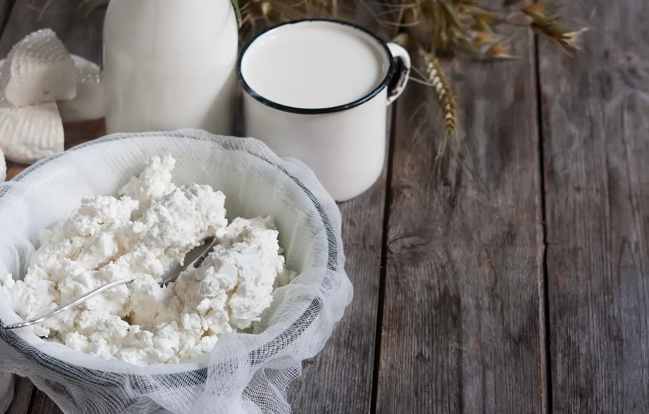 Photo wallpaper cheese, milk, cheese, cheese, dairy products, cottage cheese, Dairy products
