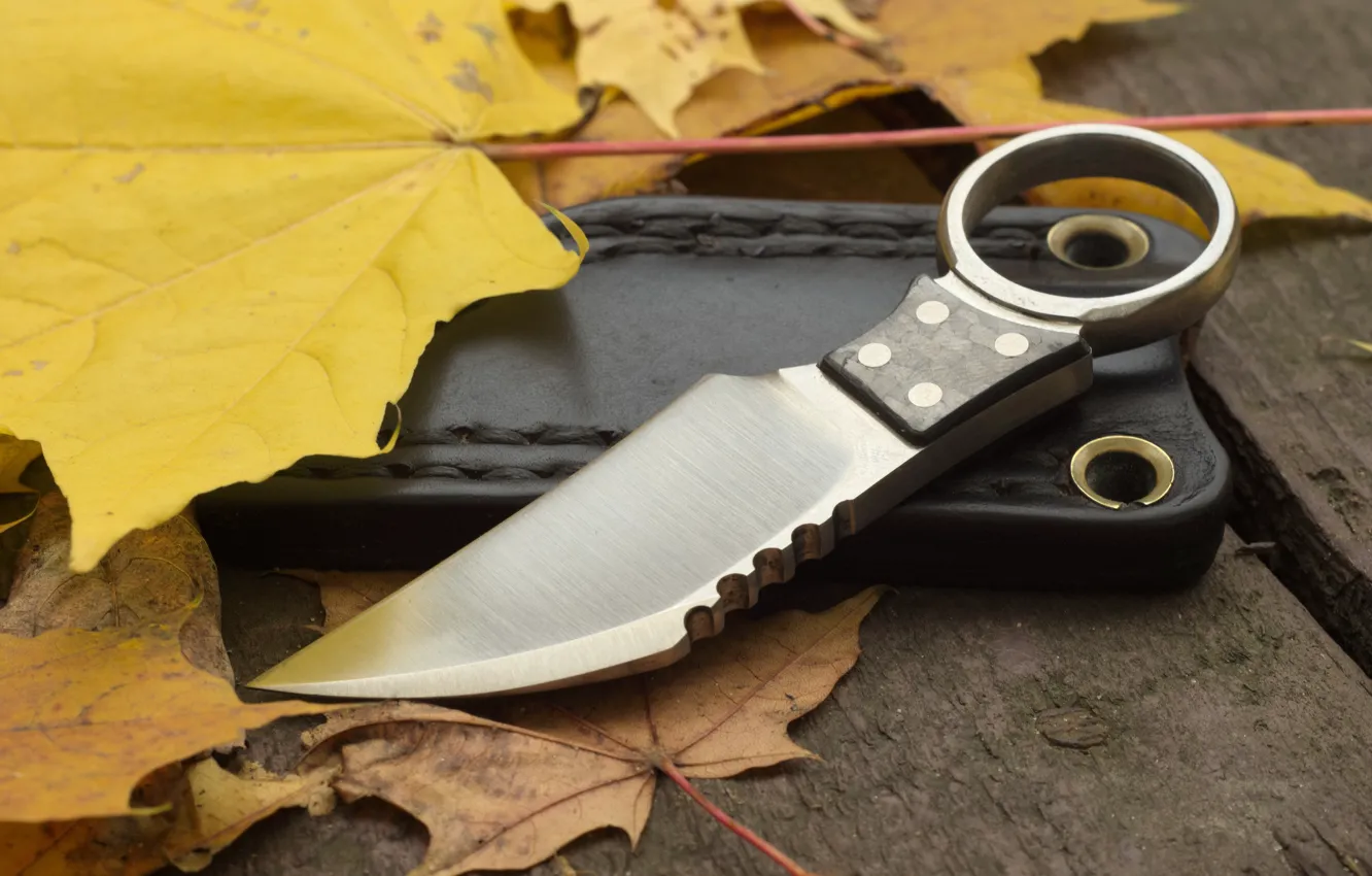 Photo wallpaper leaves, weapons, knife, case