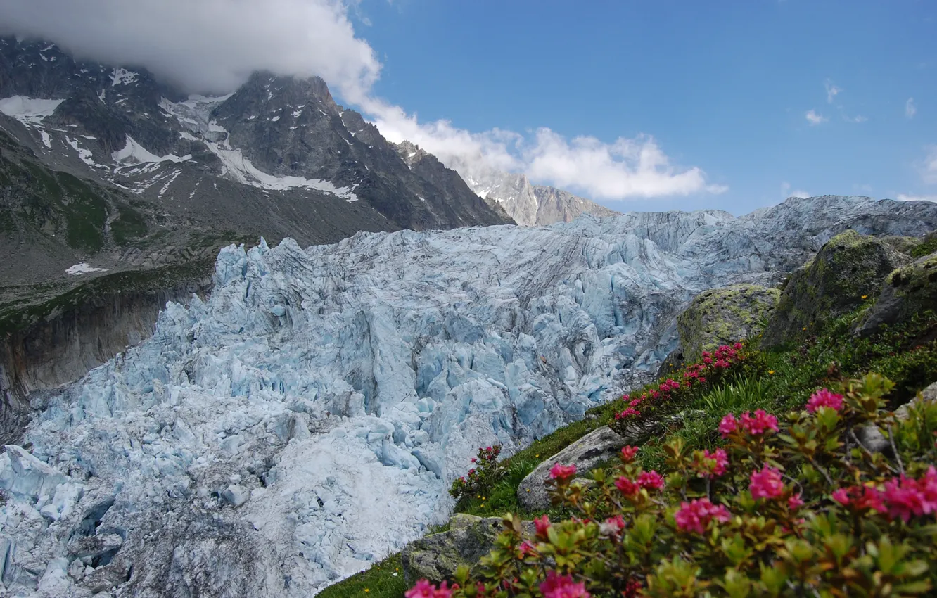 Photo wallpaper clouds, flowers, mountains, nature, spring, glacier, Alps